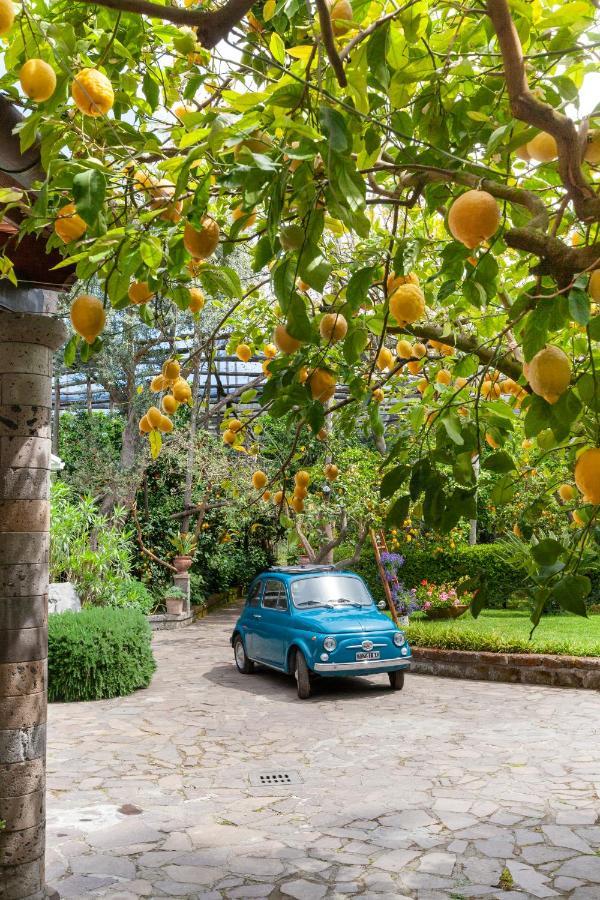 Villa Maresca B&B Piano di Sorrento Exteriör bild