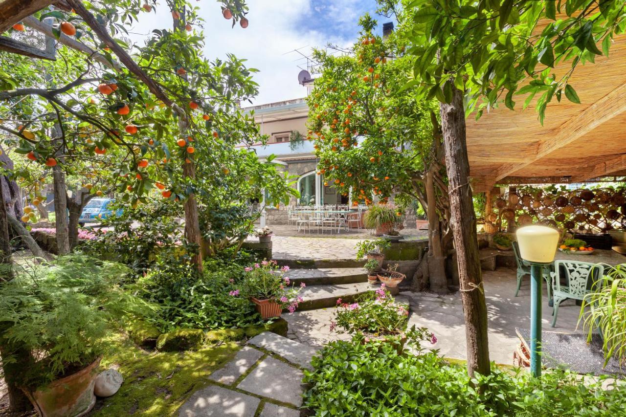 Villa Maresca B&B Piano di Sorrento Exteriör bild