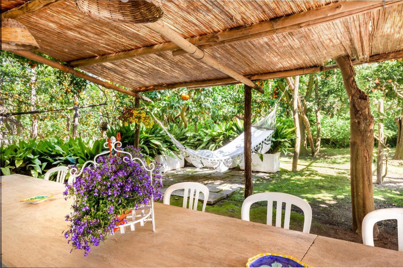 Villa Maresca B&B Piano di Sorrento Exteriör bild