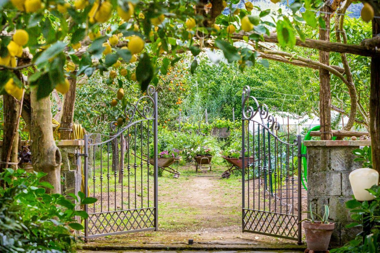 Villa Maresca B&B Piano di Sorrento Exteriör bild