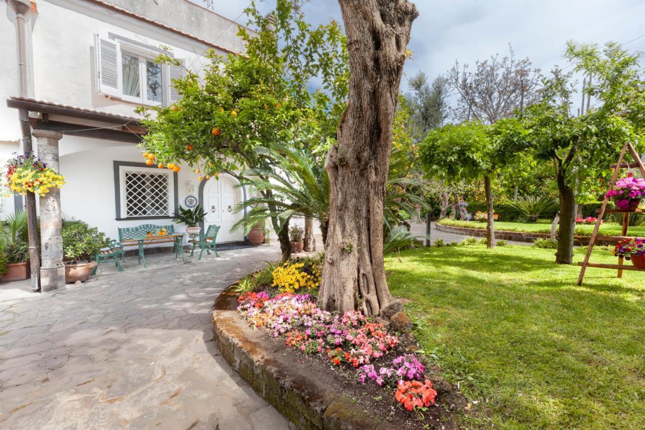 Villa Maresca B&B Piano di Sorrento Exteriör bild