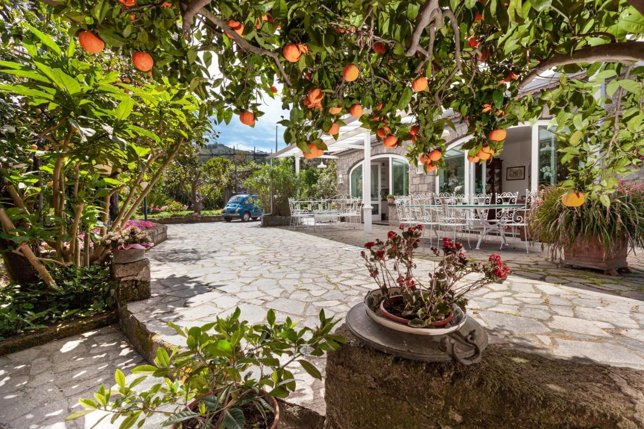 Villa Maresca B&B Piano di Sorrento Exteriör bild