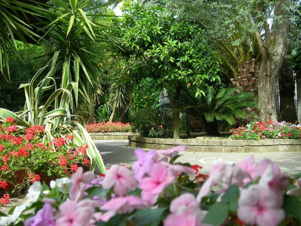 Villa Maresca B&B Piano di Sorrento Exteriör bild