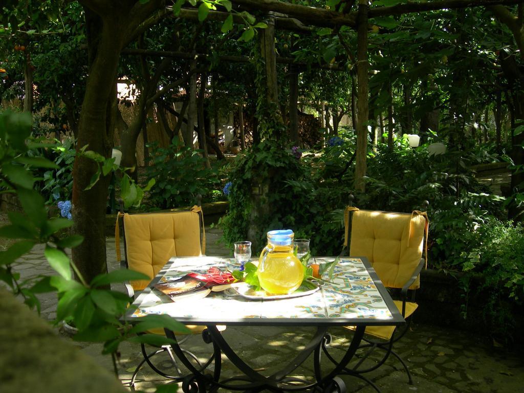 Villa Maresca B&B Piano di Sorrento Exteriör bild