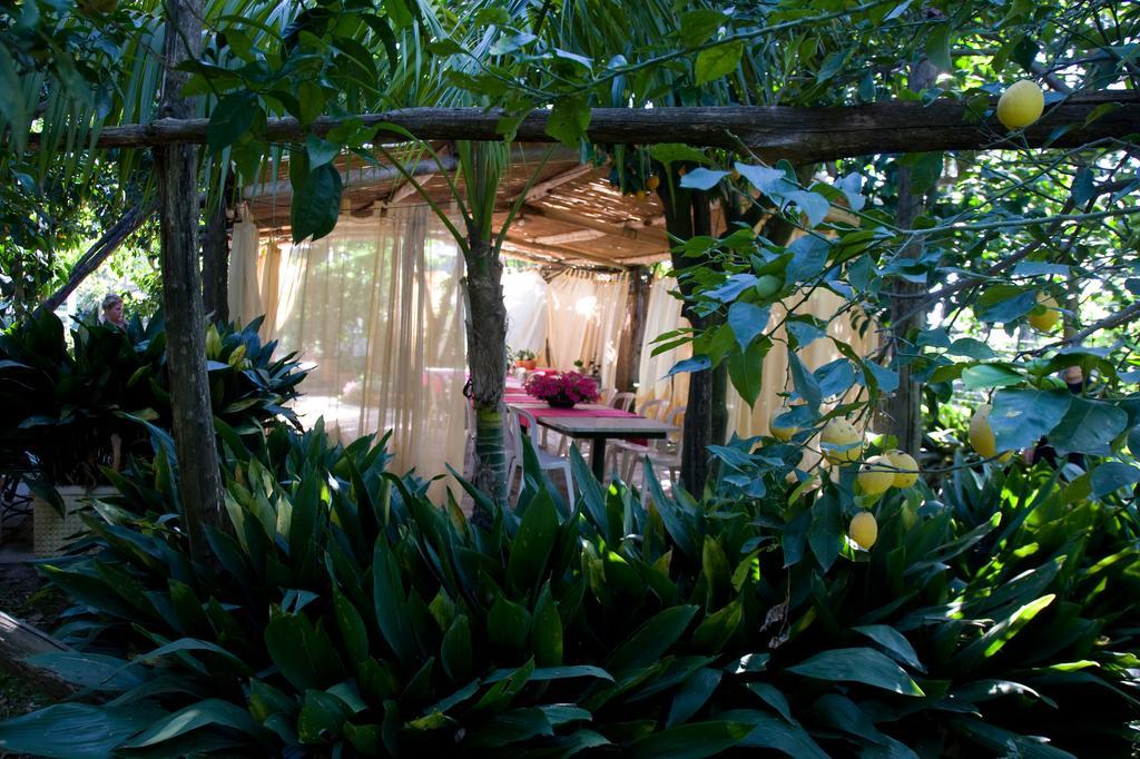 Villa Maresca B&B Piano di Sorrento Exteriör bild